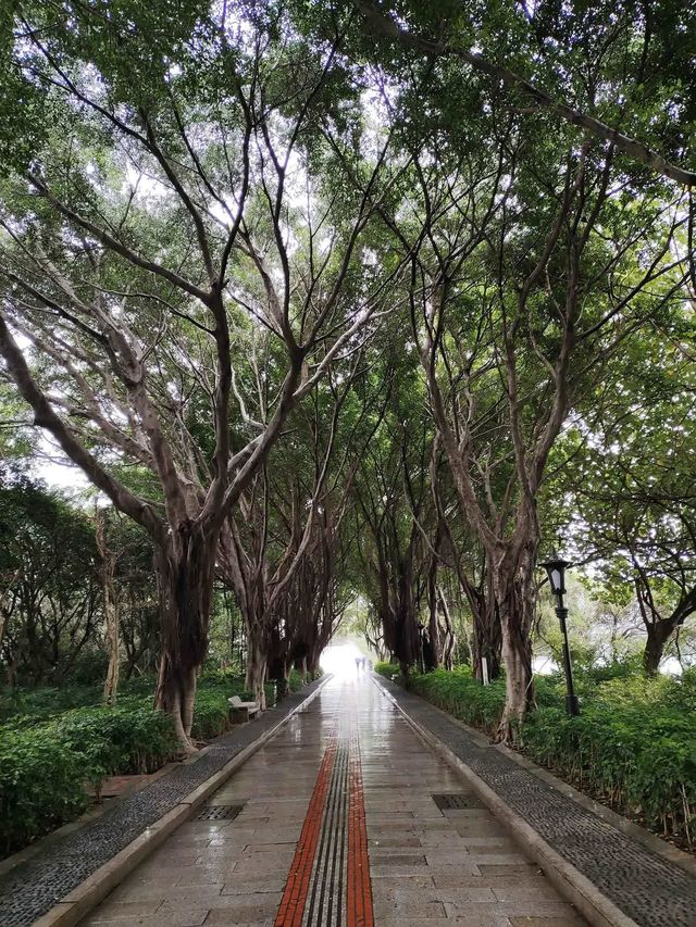 泉州西湖公園(上)