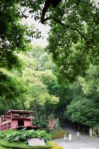 浪漫泸州｜藏在忠山公園的松弛感