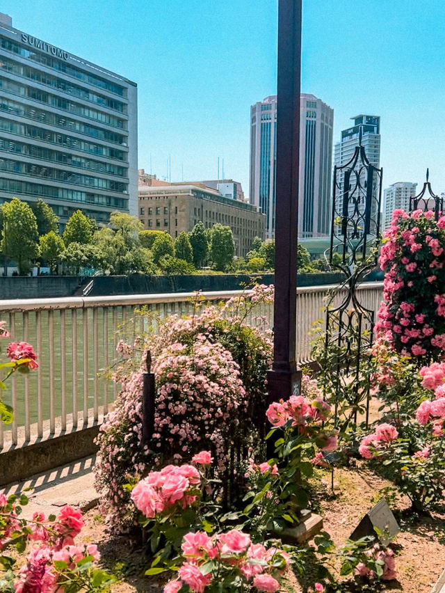 Nakanoshima: Osaka’s Museum Island 🇯🇵