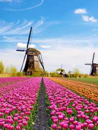 🌷🎨 Enchanting Netherlands: Top Attractions Unveiled 🚲✨