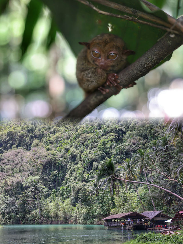 環球旅行｜薄荷島：自然與文化的邂逅。