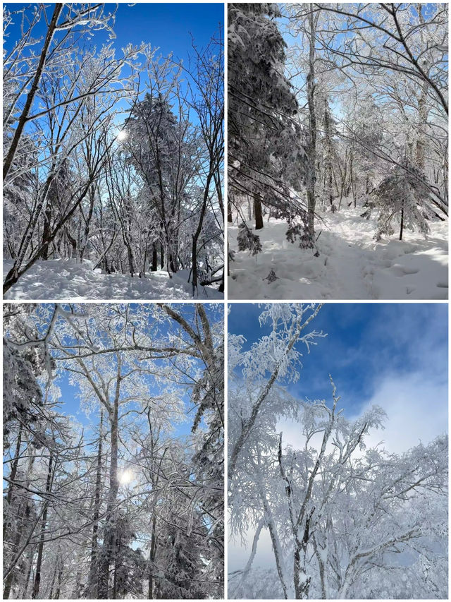 到哈爾濱一定要去雪谷看霧凇追日落｜附攻略。