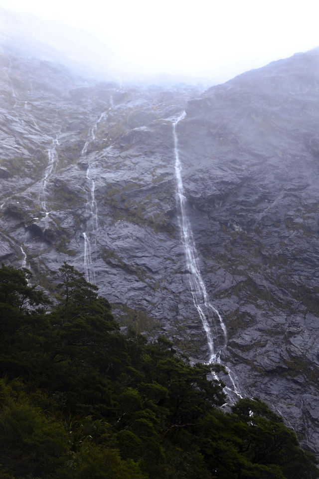 蒂阿瑙—米爾福德峽灣沿途的治癒系風景