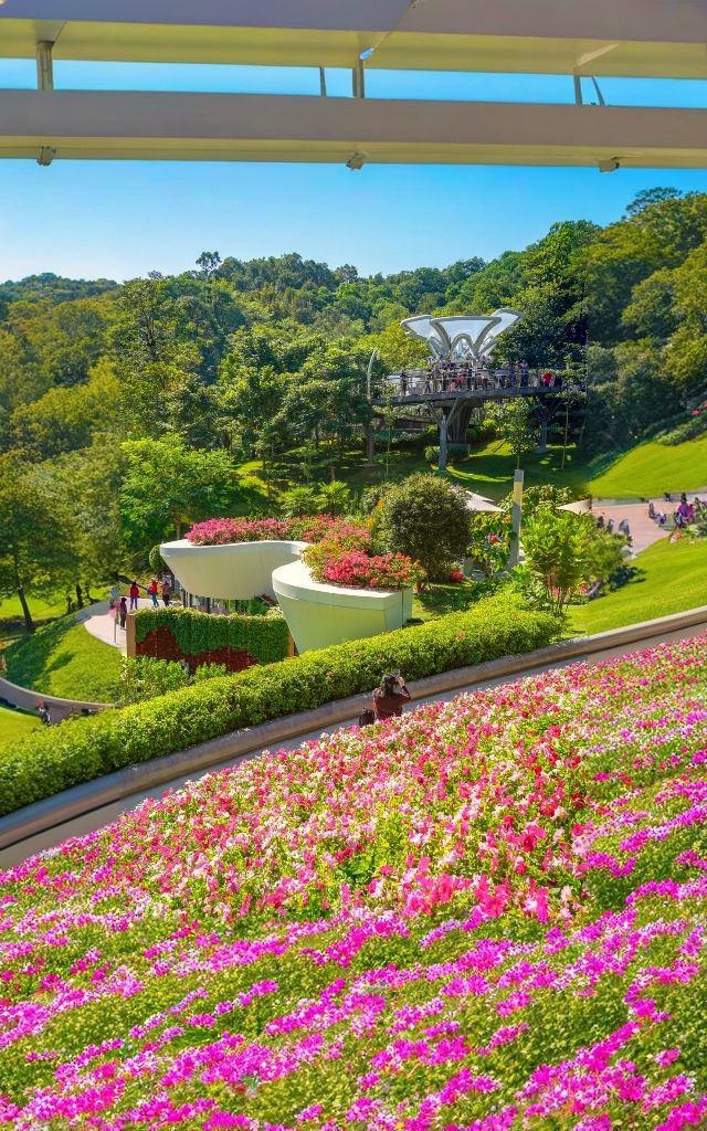 雲蘿植物園，廣州拍照打卡的頂流！