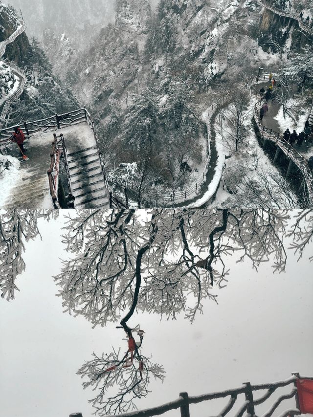 冬日雪後的老君山，遠赴一場人間驚鴻宴