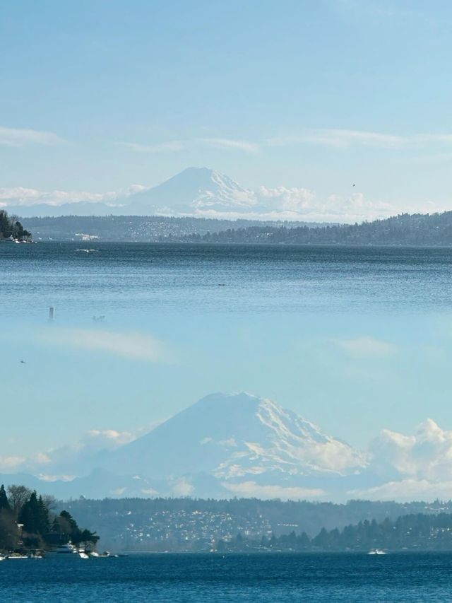 西雅圖遛娃寶藏地！Seward Park 遊玩攻略來啦！