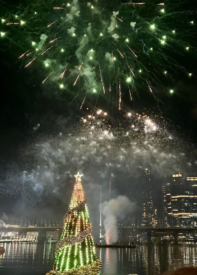 Experience the 7-Minute Fireworks Show at Darling Harbour