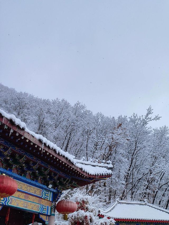 遼寧|•本溪•鐵剎山•看別樣的冬日雪景