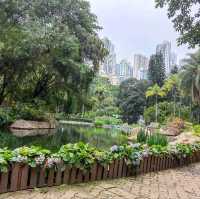 Beautiful Hong Kong Park!