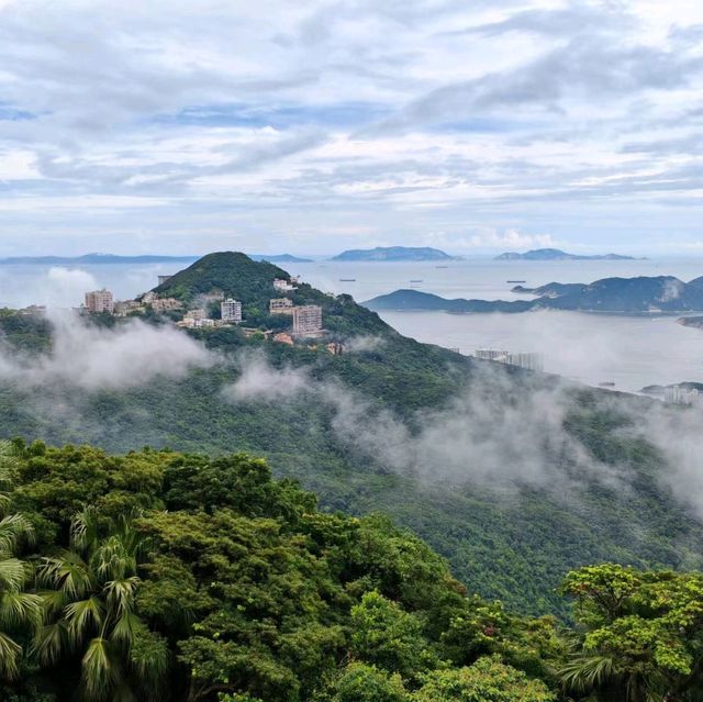 雨中行山 山頂花園