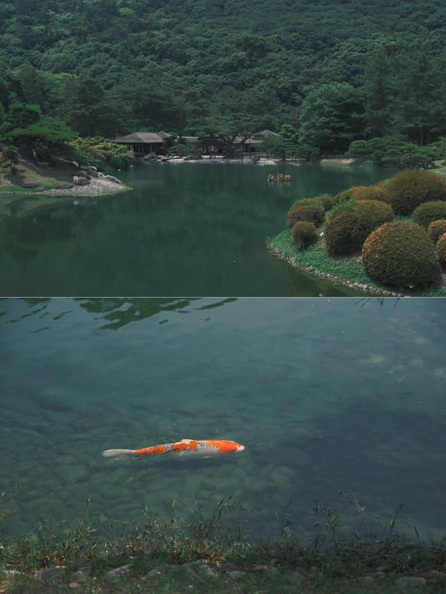 四國｜高松必訪絕美日式庭園 栗林公園