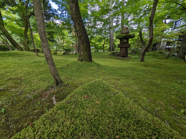 日本京都-古寺池水映秋色的賞楓名所：永觀堂