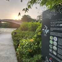  The hidden gem of Kingfisher Wetlands at Gardens by the Bay 🇸🇬