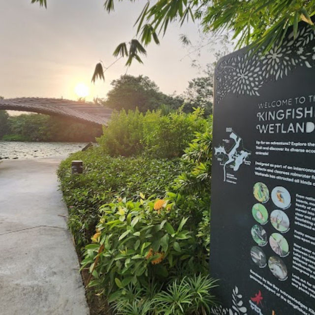  The hidden gem of Kingfisher Wetlands at Gardens by the Bay 🇸🇬