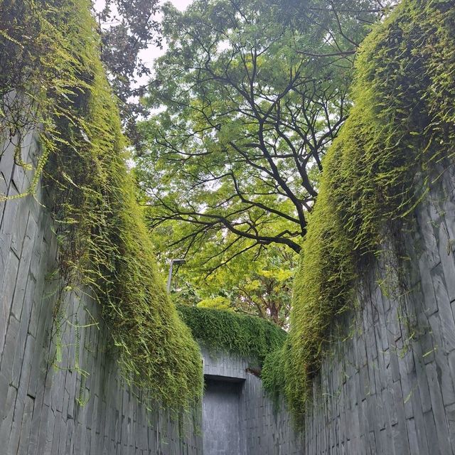 唔去唔知有咁靚 Fort Canning Park