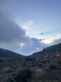 Camping At Surya Kencana Mt Gede ⛺️ 