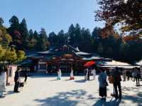 盛岡八幡宮の旅