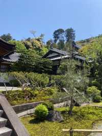 Kyoto: A Timeless Journey Through Japan's Ancient Capital