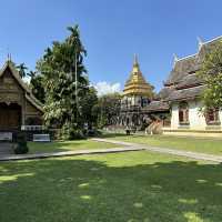 【チェンマイ】🇹🇭 ワット チェンマン วัดเชียงมั่น