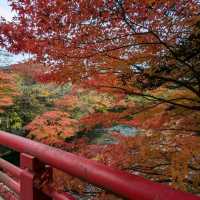 輕津之嵐山，移植自京都的紅葉名所：中野紅葉山