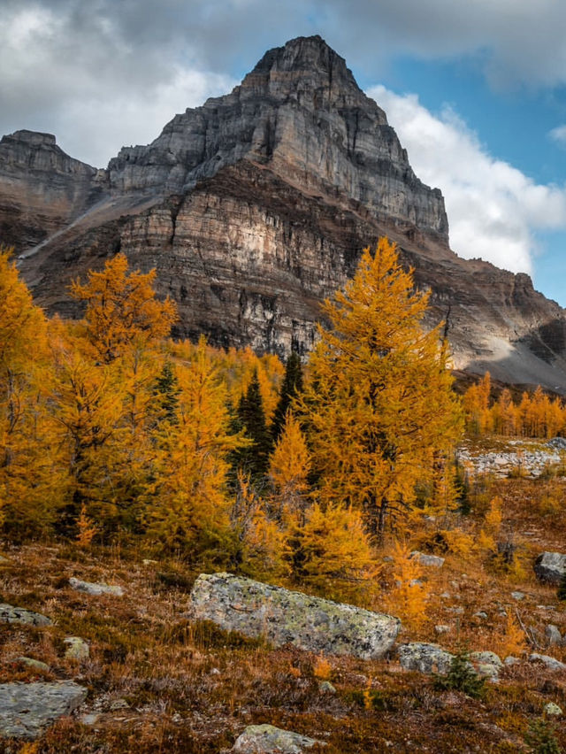 Fall in Love with Banff: A Guide to Canada’s Mountain Paradise