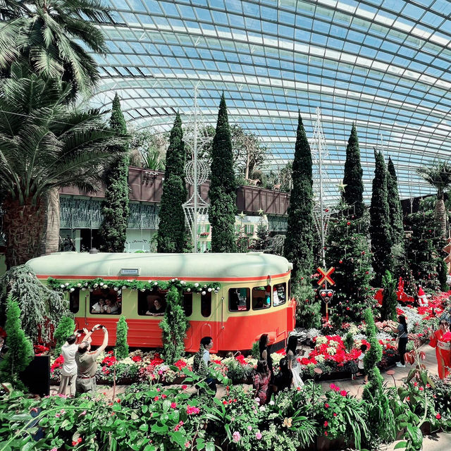 Christmas Train Show at Flower Dome ❄️🎄🎁