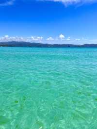 The glass boat ride in Boracay🐠