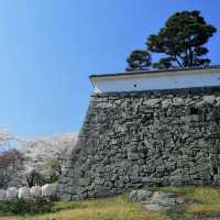 【福島】🇯🇵 福島二本松市霞ヶ城公園