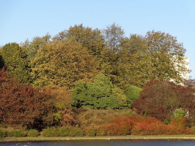 Beggining of autumn in Bródnowski Park 🗺️