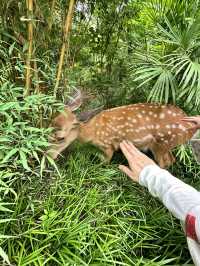 成都街子古鎮飲馬川民宿