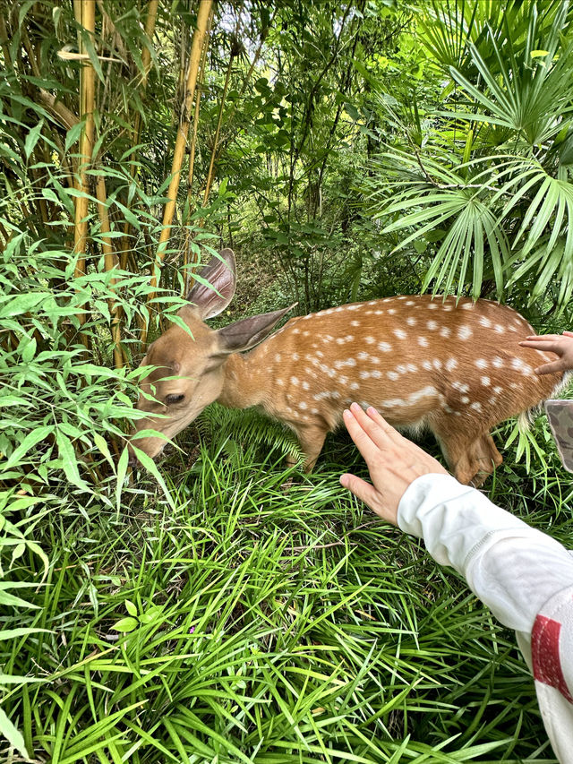 成都街子古鎮飲馬川民宿