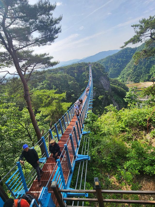 韓國江原道～小金山吊橋