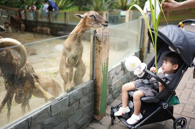 廣州動物園