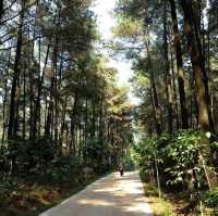 Pancar Mountain National Park