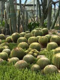 華南植物園。