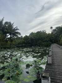 The Best Place to Stay in Phuket 