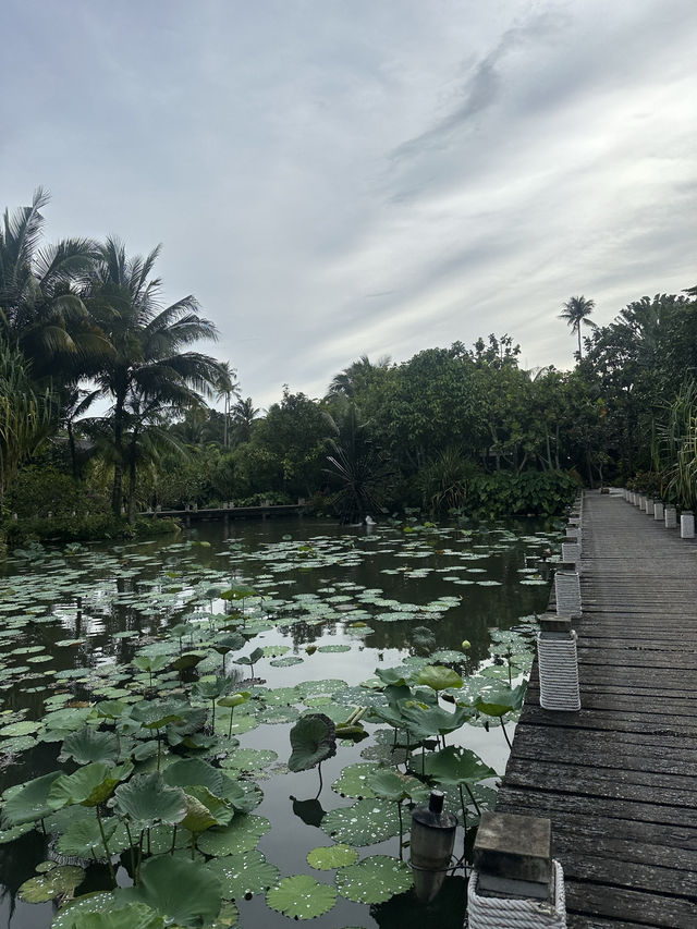 The Best Place to Stay in Phuket 