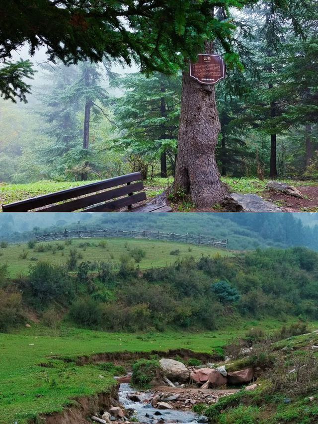 成都1小時｜金堂雲頂古道 山脊線的徒步天花板。