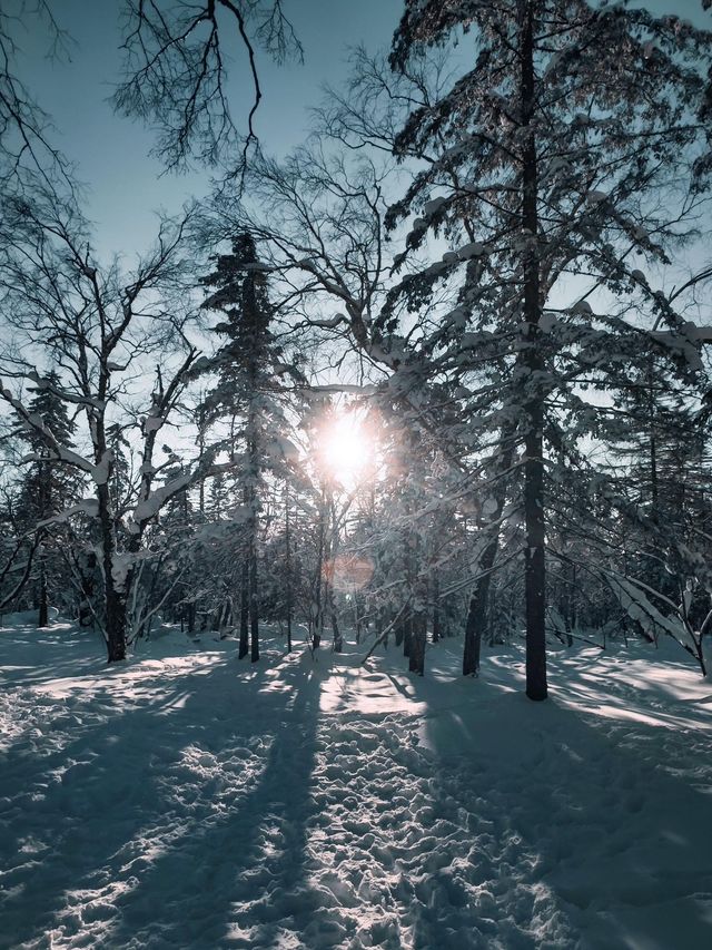 黑龍江哈爾濱|亞雪公路•銀裝素裹冰天雪地。