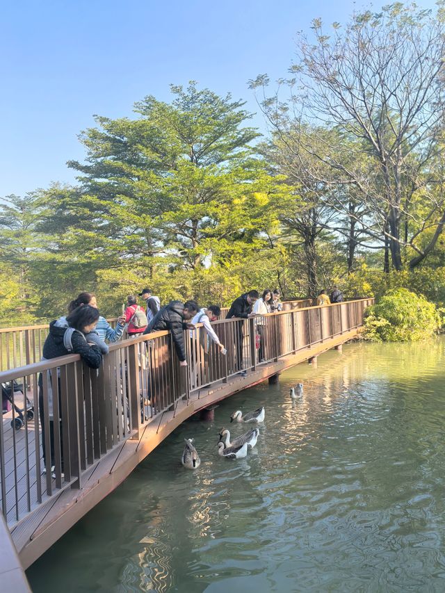 冬至安康！海珠湖邊走一走