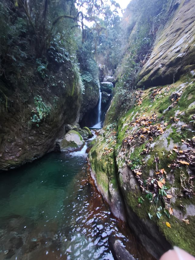 高黎貢山五道溪行山