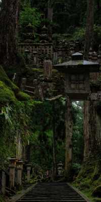 高野山  | 日本最最最神聖的地方！