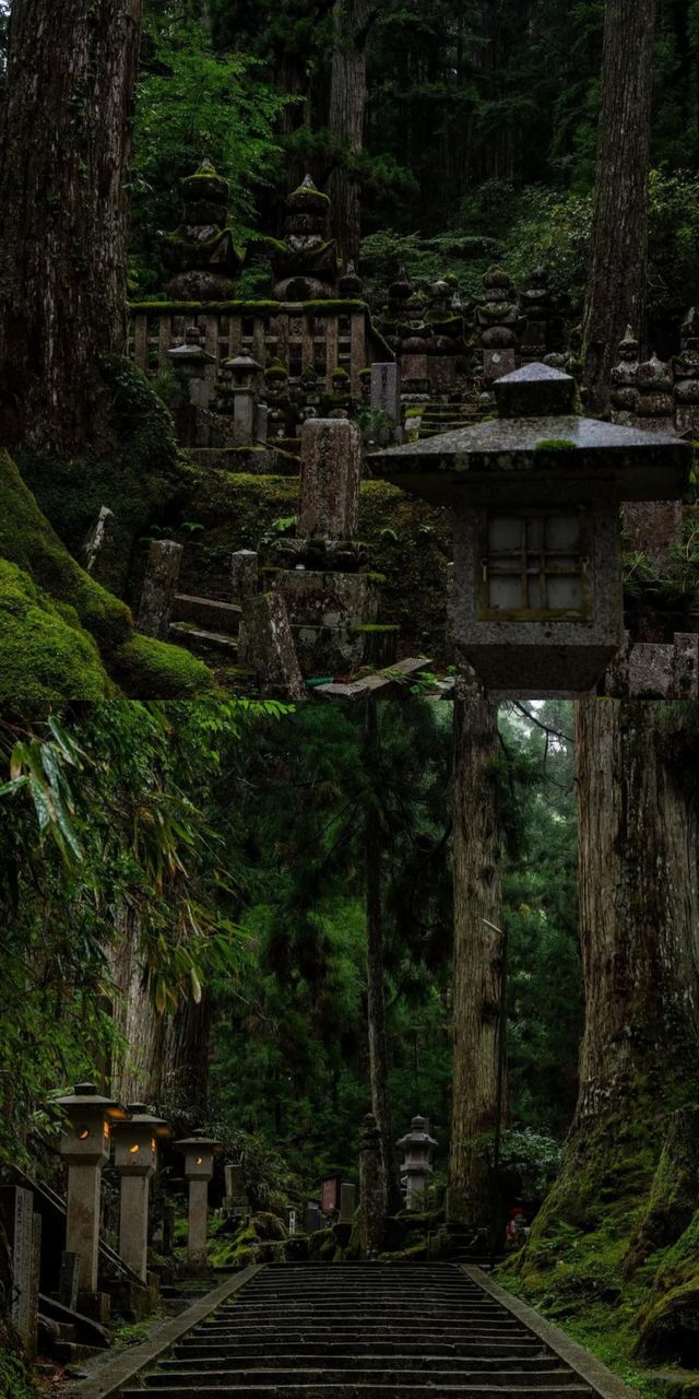 高野山  | 日本最最最神聖的地方！