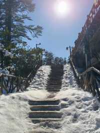 剛從瓦屋山回來，雪景真的太震撼了！