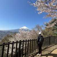 Fuji with Sakura !! 