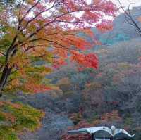 秋天韓國內藏山賞楓