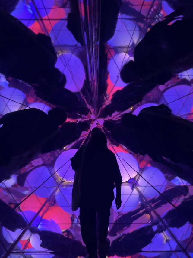 Explore teamLab Forest Fukuoka 