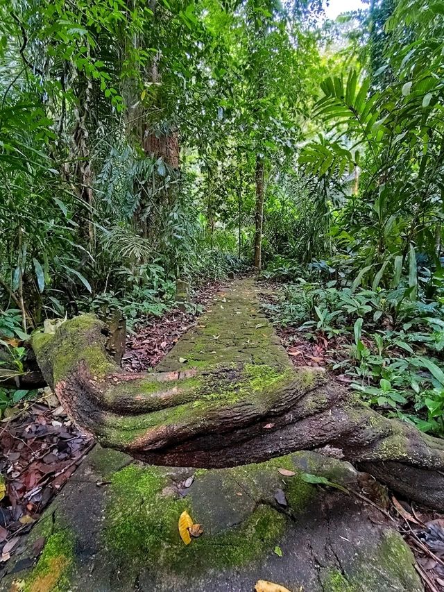 Exploring the Penang Hill Biosphere Reserve