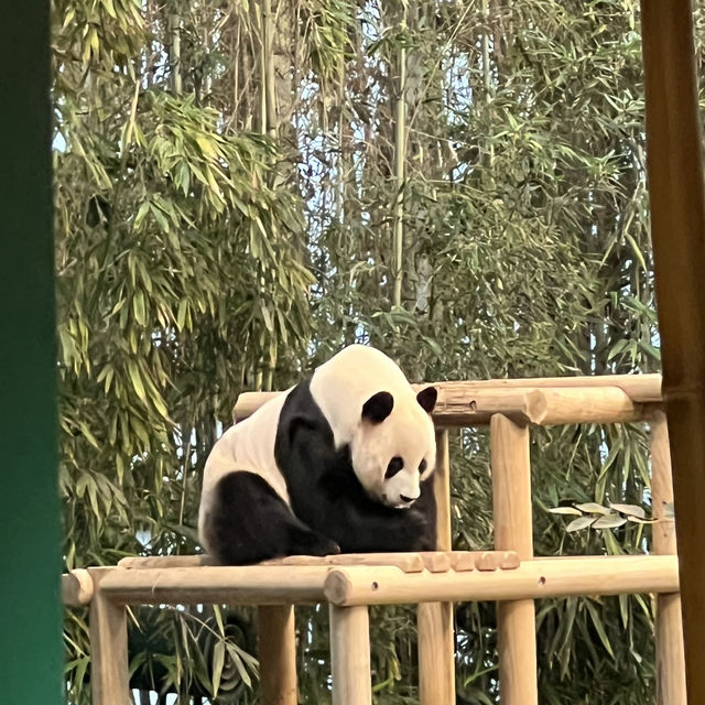 A Rainy Day at Everland