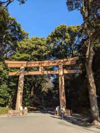 Meiji Jingu: A Serene Escape in the Heart of Tokyo